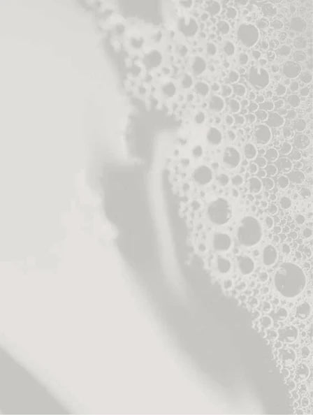 Hand & Body Wash, Ginger & Smoky Cardamom